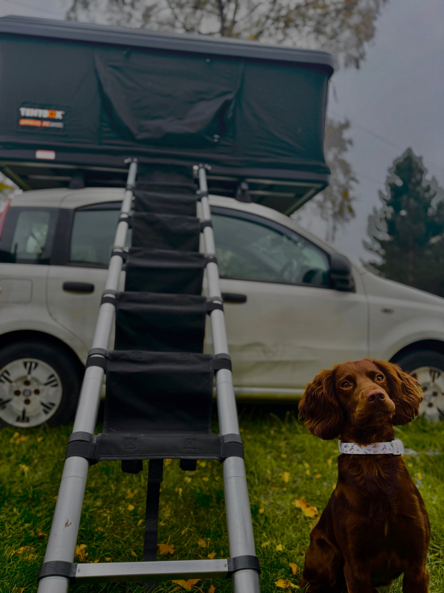 Designed for Tentbox Roof Tent / OEX Vertex Lite 130 Ladder Steps Attachment Upgrade (Dog and Sensory Friendly)