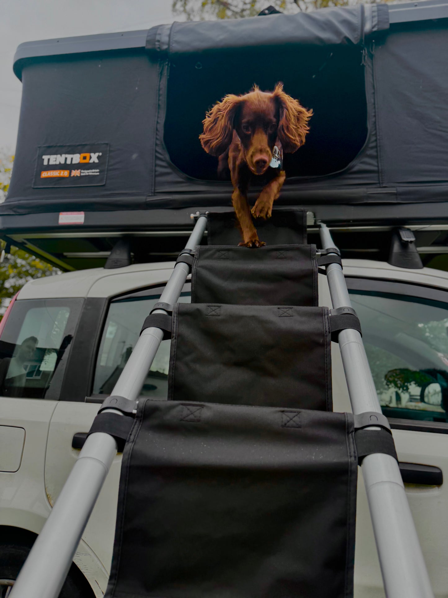 Designed for Tentbox Roof Tent / OEX Vertex Lite 130 Ladder Steps Attachment Upgrade (Dog and Sensory Friendly)
